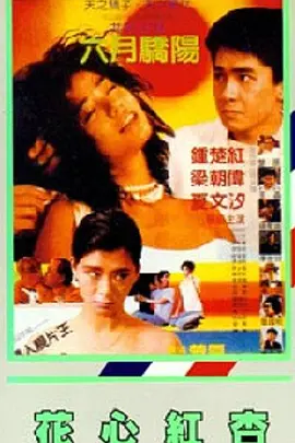 关系:特别的嫂子2020