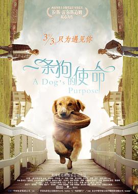 在线欧美精品一区二区三区