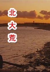 巴西性极品videos